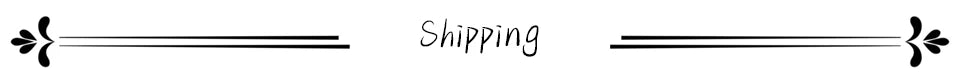 O-neck Women Long Sleeve Crop Top